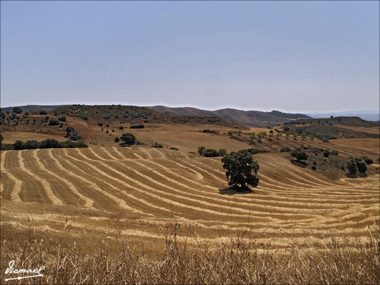 Foto de Ariza (Zaragoza), España