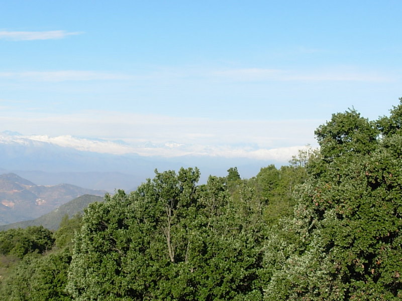 Foto de Olmue, Chile
