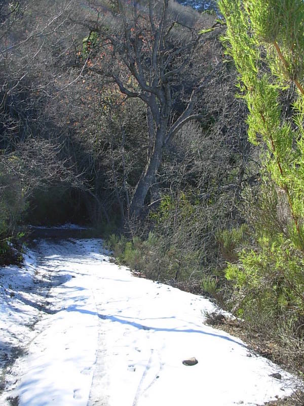Foto de Olmue, Chile