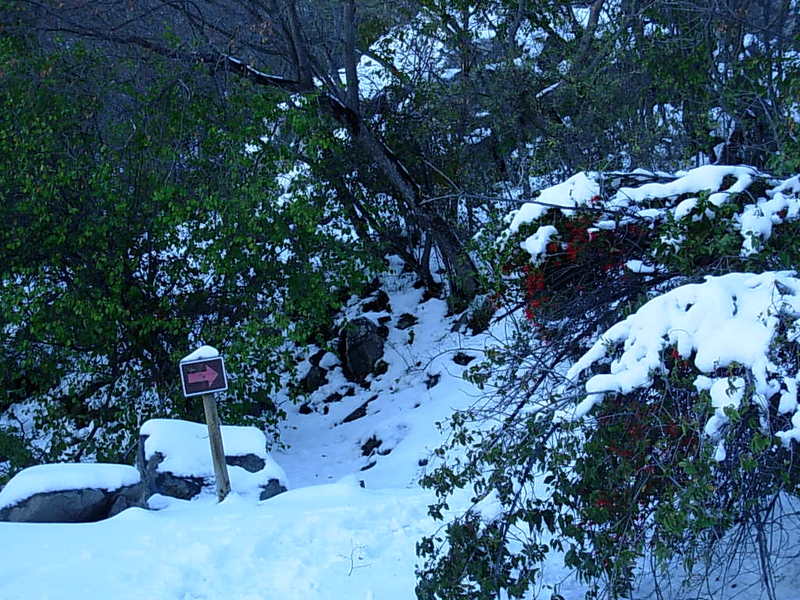 Foto de Olmue, Chile