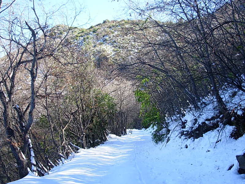 Foto de Olmue, Chile