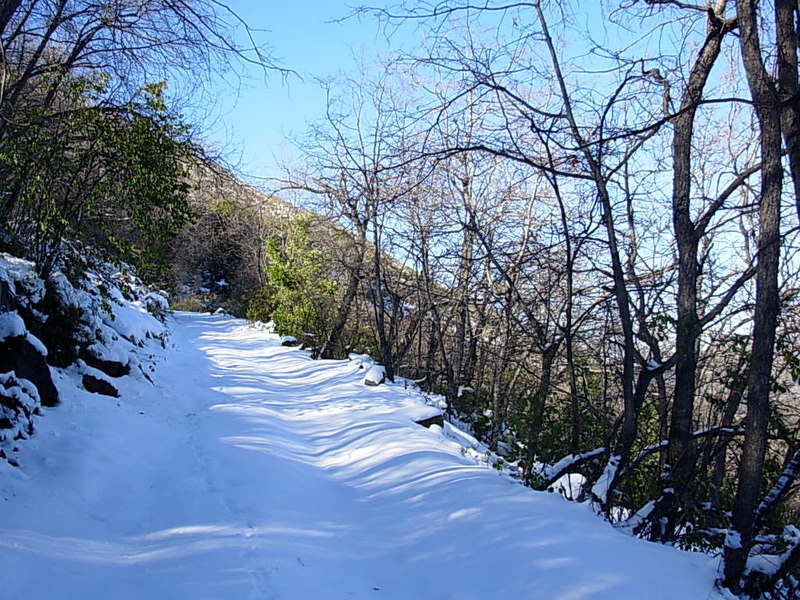 Foto de Olmue, Chile