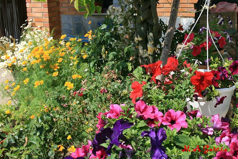 Foto de Respenda de la Peña (Palencia), España
