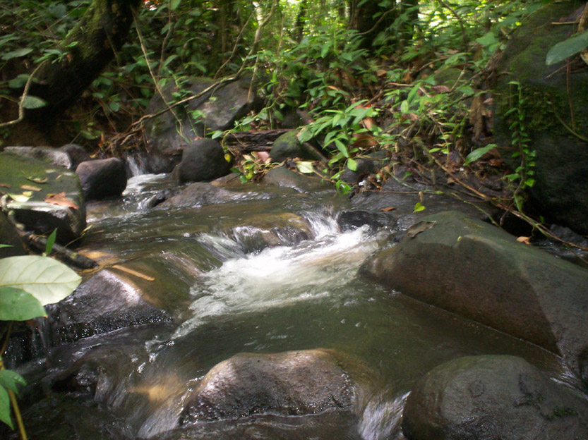 Foto: RIACHUELO SAN LUIS - Upala, Costa Rica