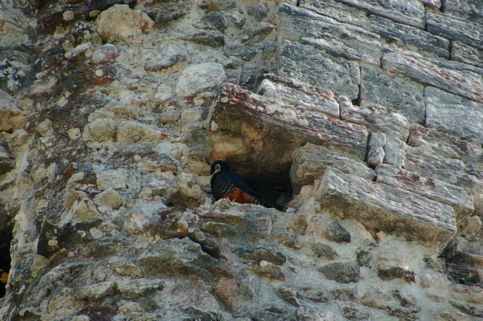 Foto de Xpuhil, México