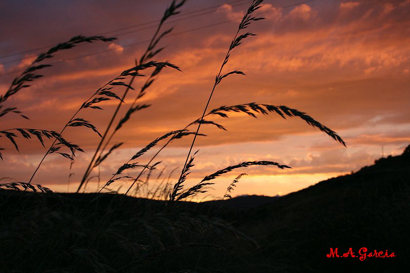 Foto de Respenda de la Peña (Palencia), España