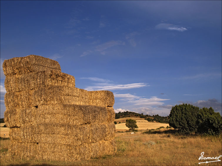 Foto de Alconchel de Ariza (Zaragoza), España