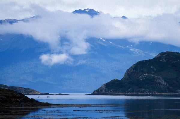 Foto de Patagonia, Chile