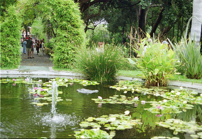 Foto de Puerto de la Cruz (Santa Cruz de Tenerife), España
