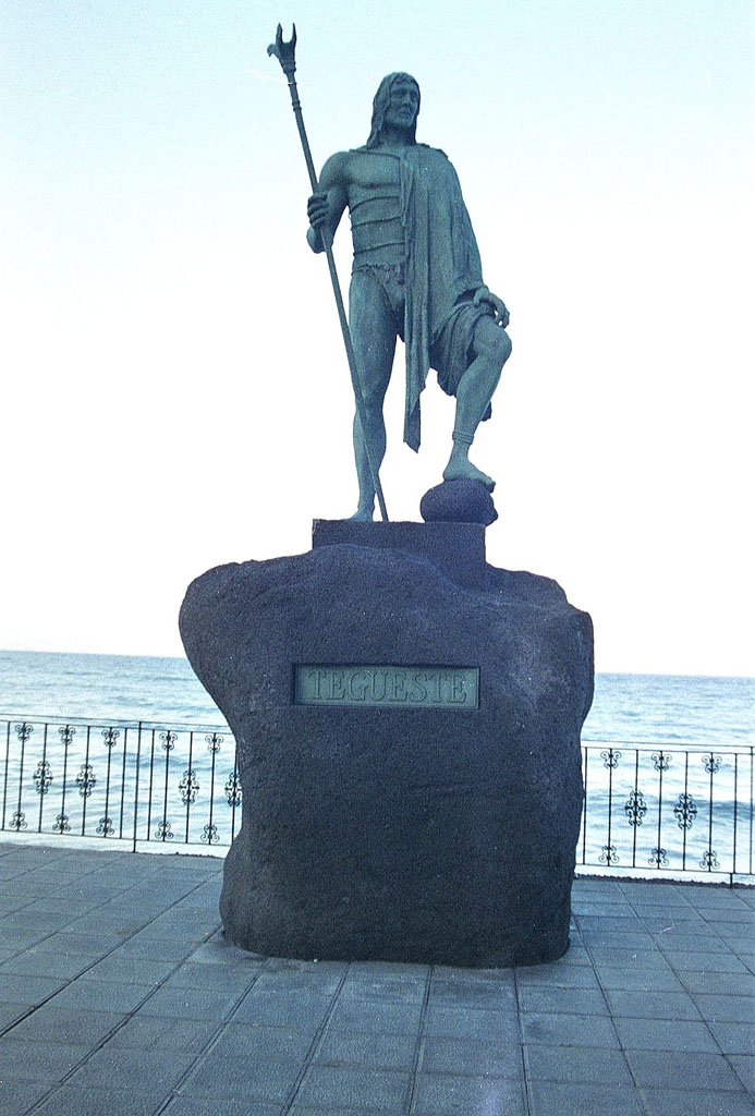 Foto de Puerto de la Cruz (Santa Cruz de Tenerife), España