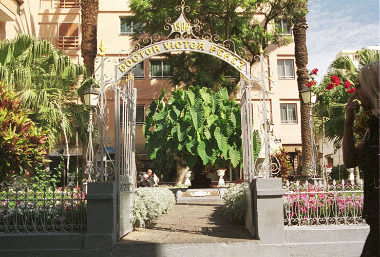 Foto de Puerto de la Cruz (Santa Cruz de Tenerife), España