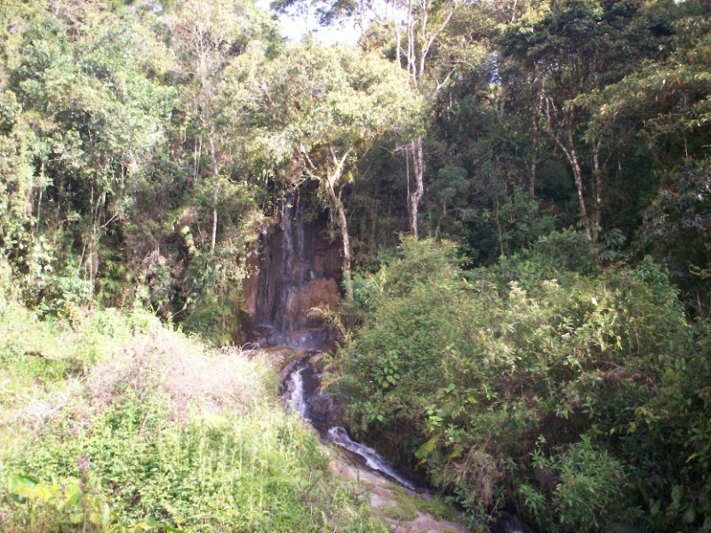Foto de Carmen de Viboral - Antioquia, Colombia