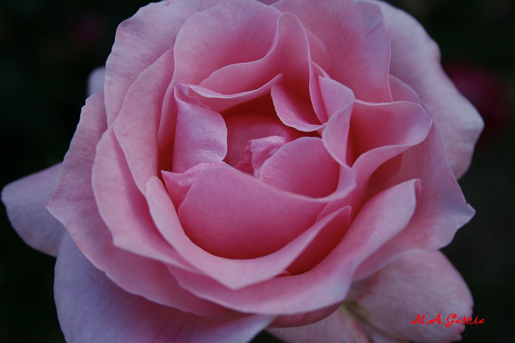 Foto de Respenda de la Peña (Palencia), España