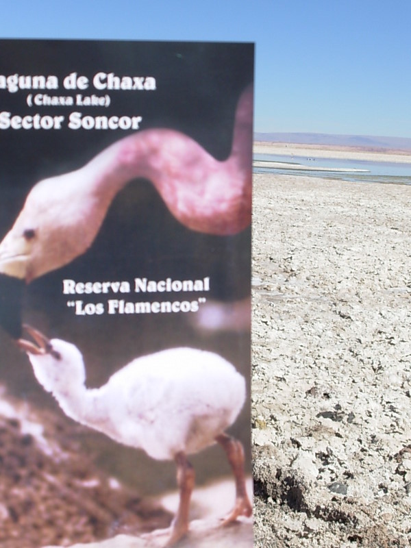 Foto de San Pedro de Atacama, Chile