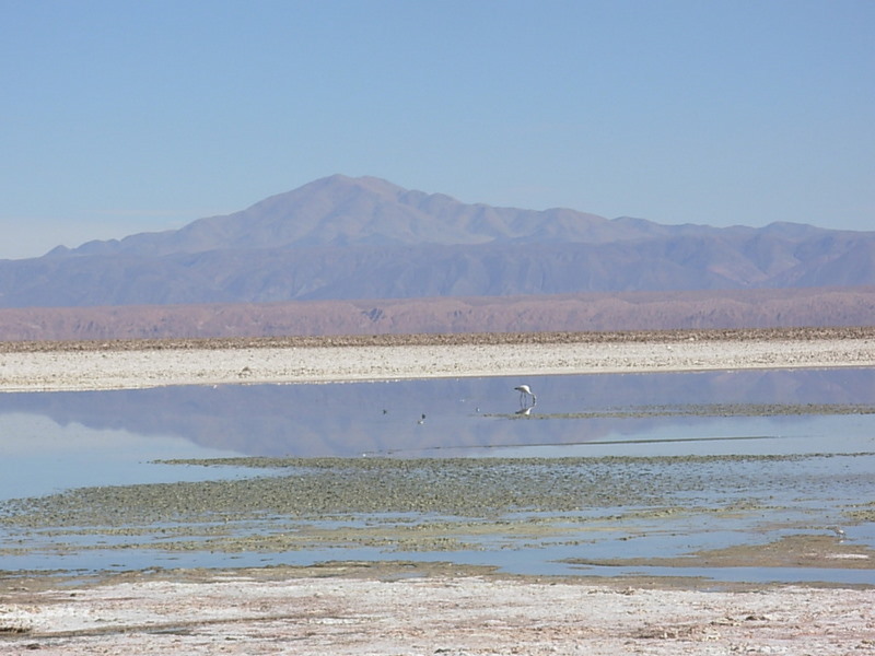 Foto de San Pedro de Atacama, Chile