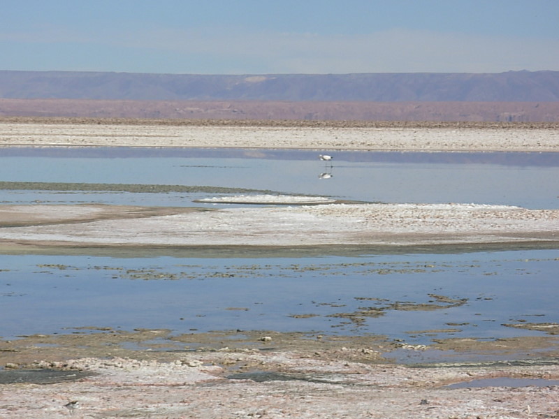Foto de San Pedro de Atacama, Chile