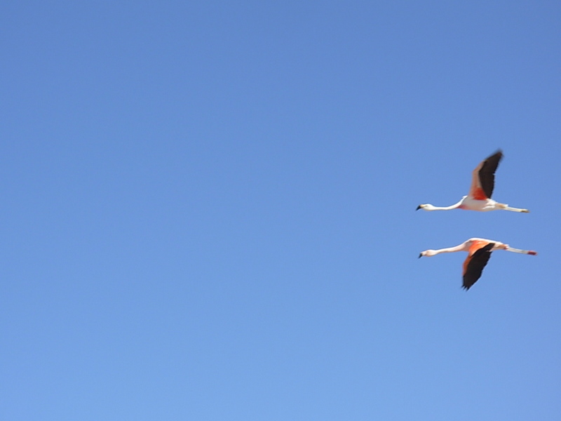 Foto de San Pedro de Atacama, Chile