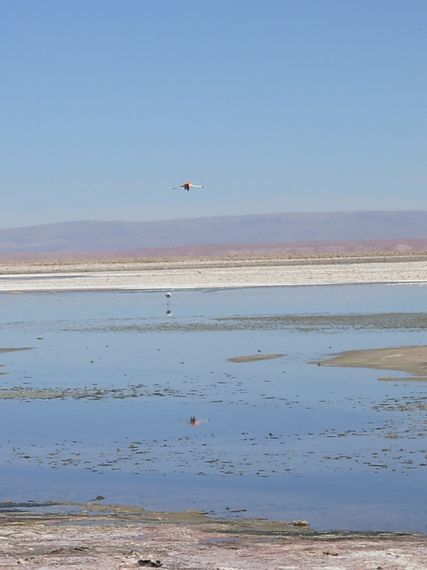 Foto de San Pedro de Atacama, Chile