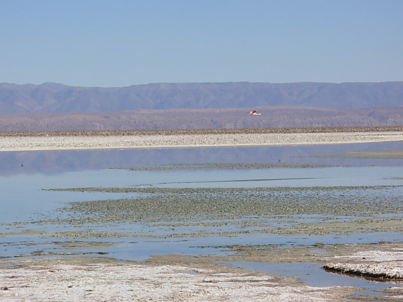 Foto de San Pedro de Atacama, Chile