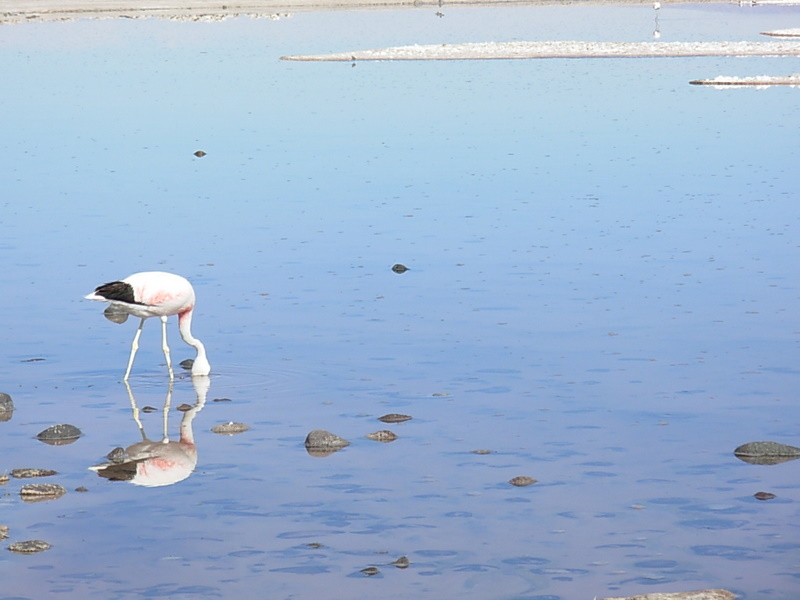 Foto de San Pedro de Atacama, Chile