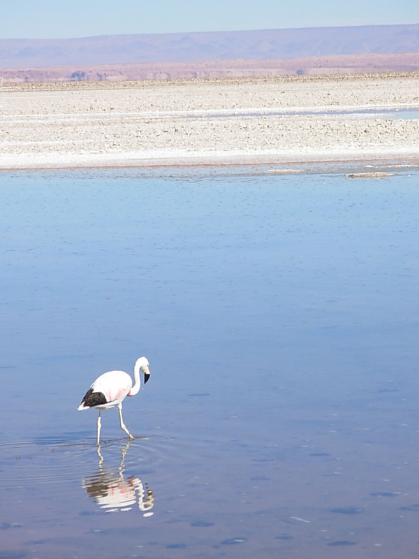 Foto de San Pedro de Atacama, Chile