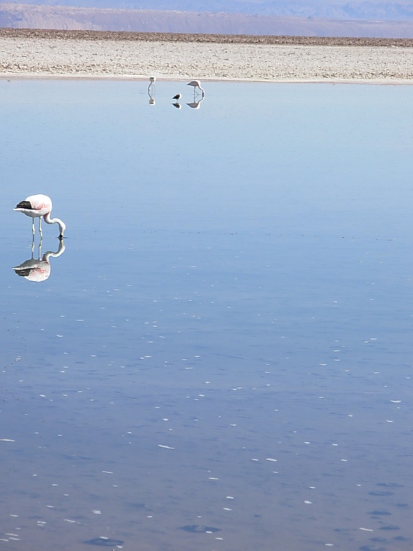 Foto de San Pedro de Atacama, Chile