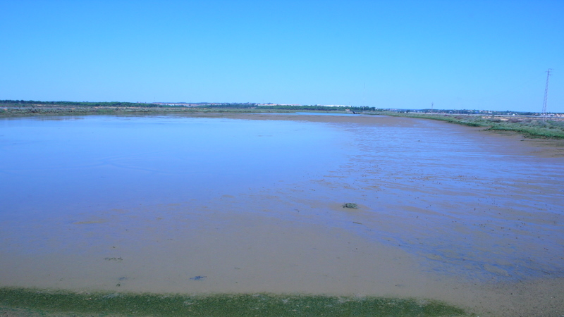 Foto de Huelva (Andalucía), España