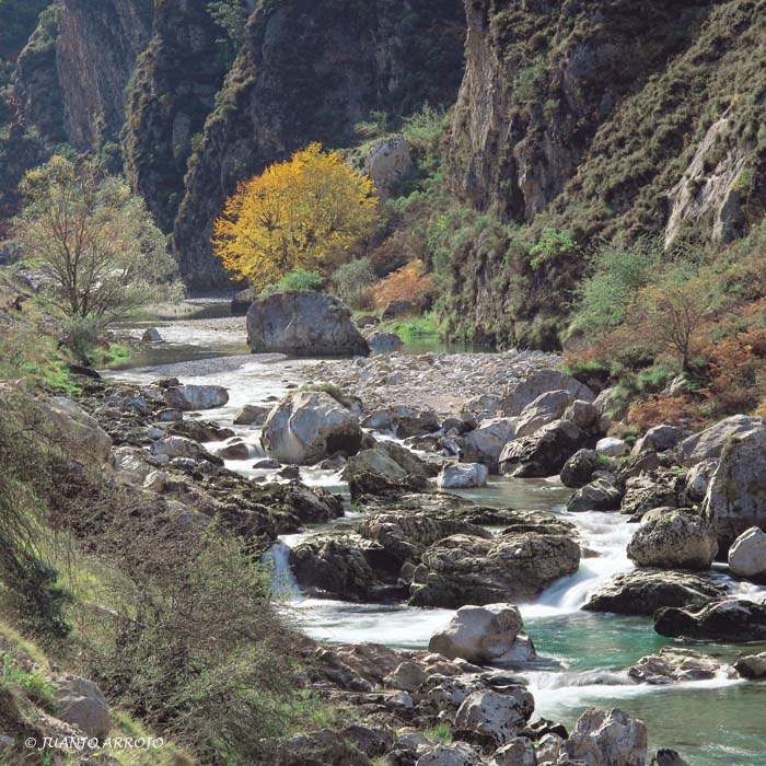 Foto de Cabrales (Asturias), España