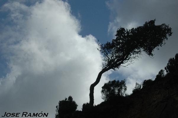 Foto de Algeciras (Cádiz), España