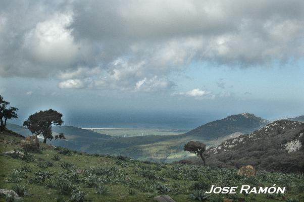 Foto de Algeciras (Cádiz), España