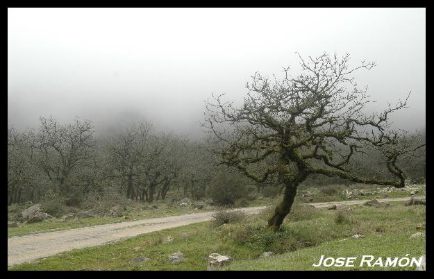 Foto de Algeciras (Cádiz), España