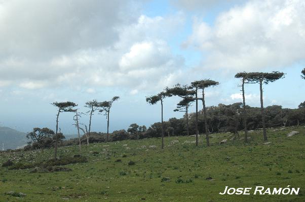 Foto de Algeciras (Cádiz), España
