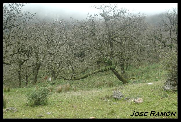 Foto de Algeciras (Cádiz), España