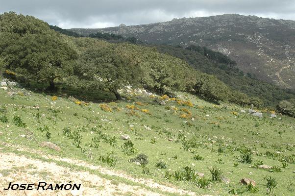 Foto de Algeciras (Cádiz), España