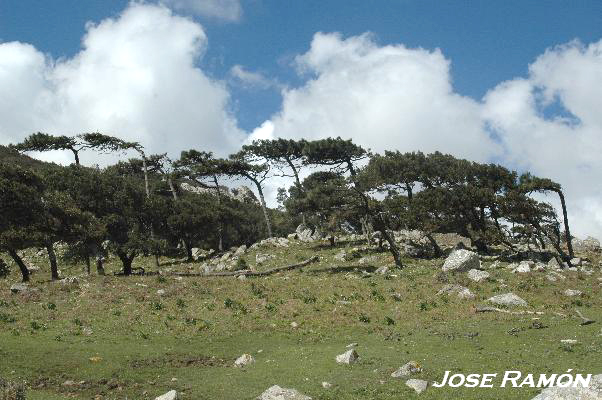 Foto de Algeciras (Cádiz), España