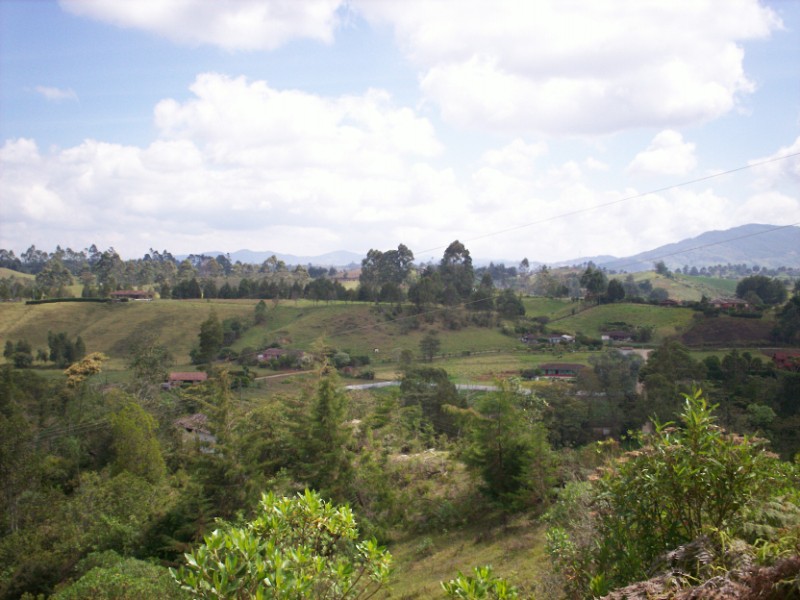 Foto de Carmen de Viboral - Antioquia, Colombia