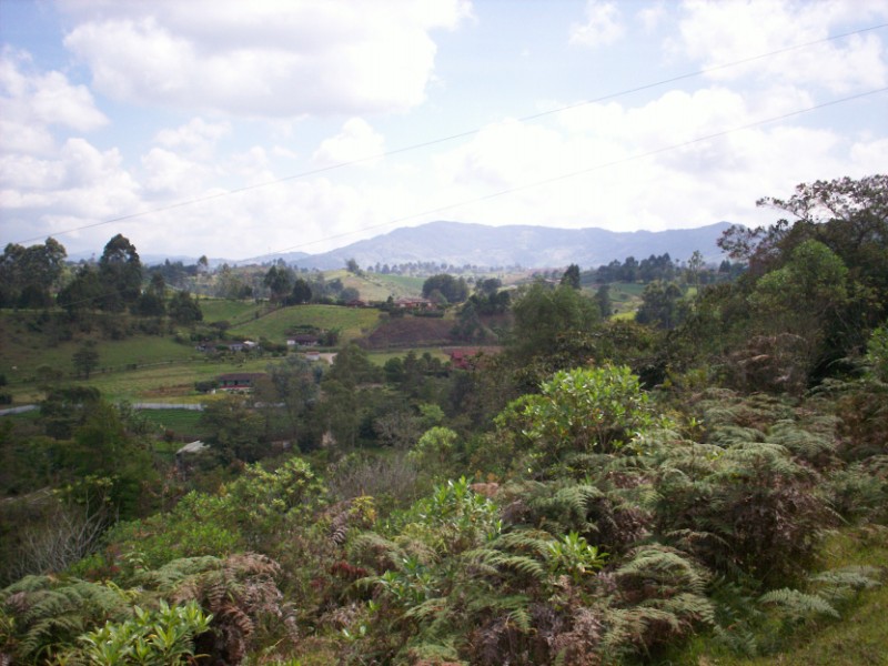 Foto de Carmen de Viboral - Antioquia, Colombia