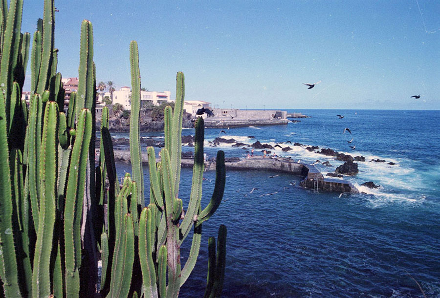 Foto de Puerto de la Cruz (Santa Cruz de Tenerife), España