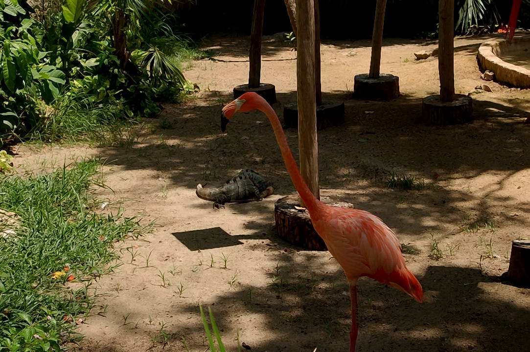 Foto de Xcaret, México