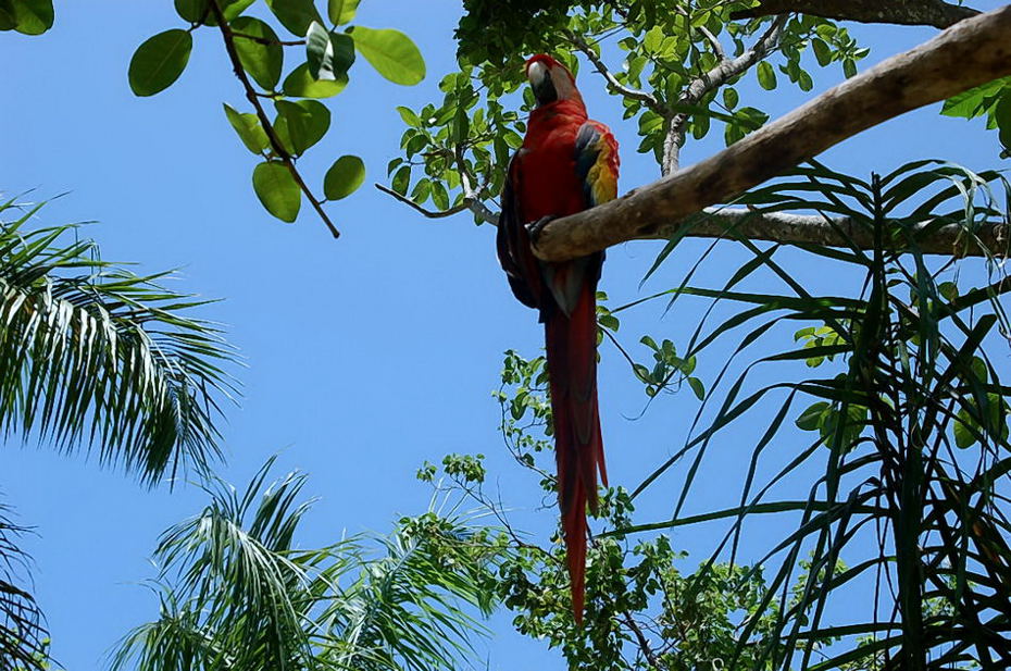 Foto de Xcaret, México