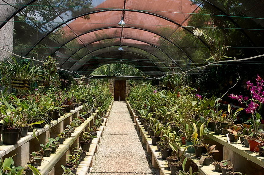 Foto de Xcaret, México