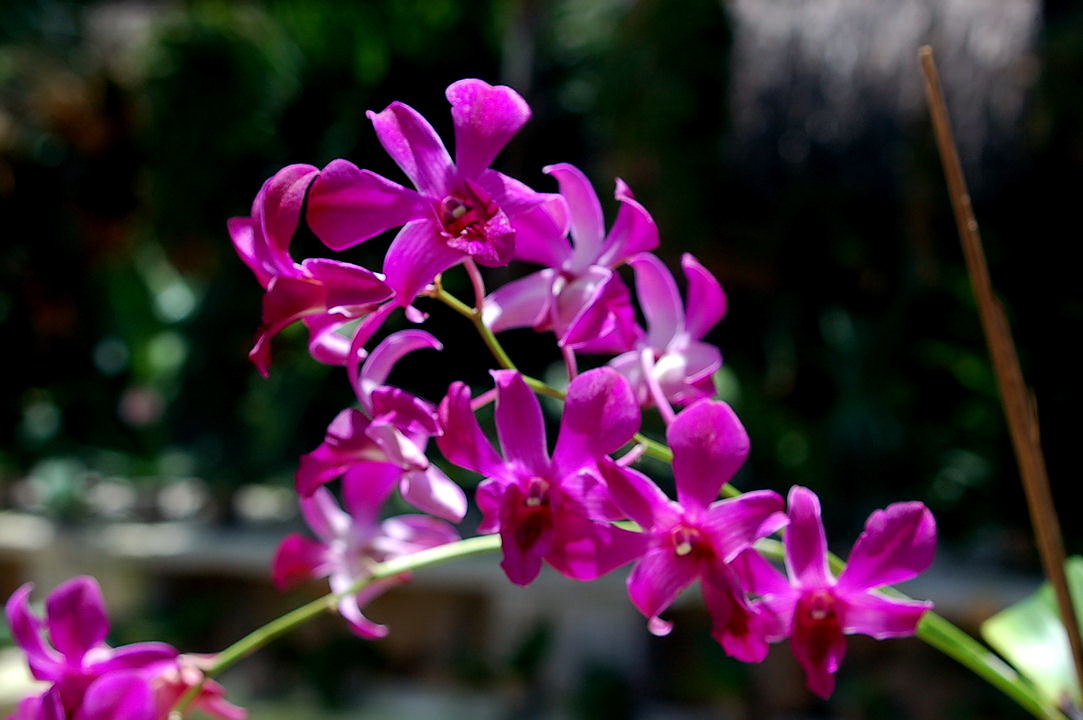 Foto de Xcaret, México