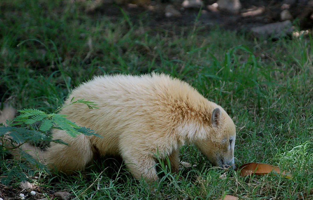 Foto de Xcaret, México
