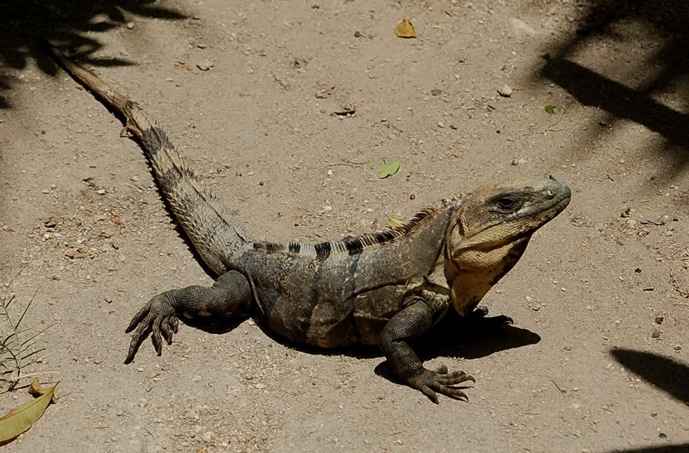 Foto de Xcaret, México