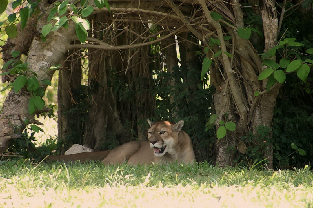 Foto de Xcaret, México