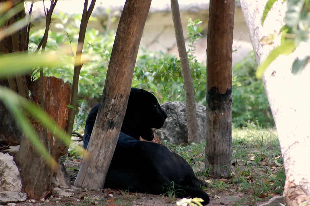 Foto de Xcaret, México