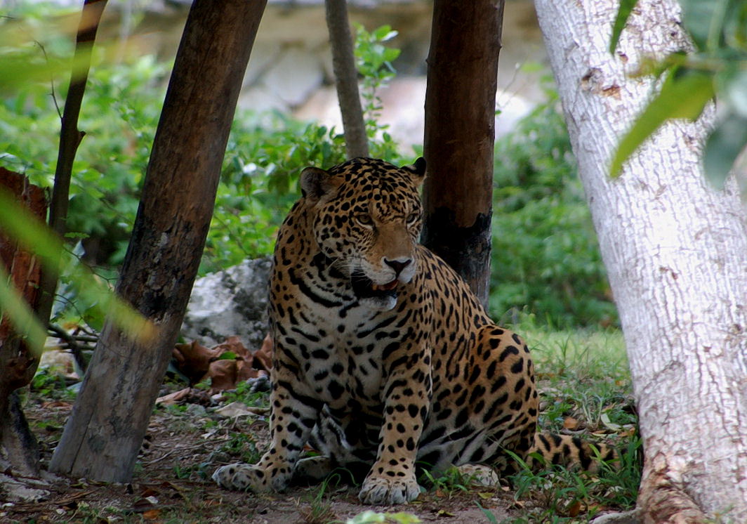 Foto de Xcaret, México