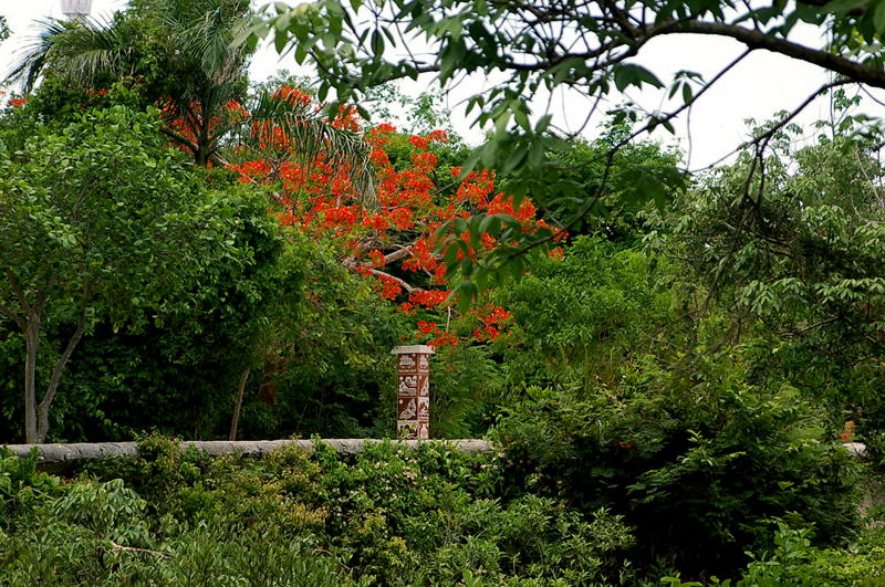 Foto de Xcaret, México