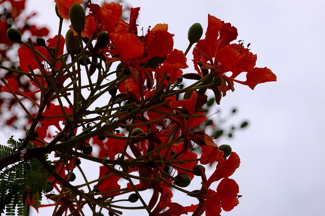Foto de Xcaret, México