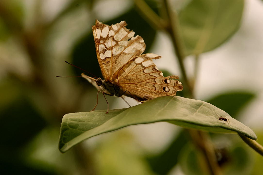 Foto de Xcaret, México